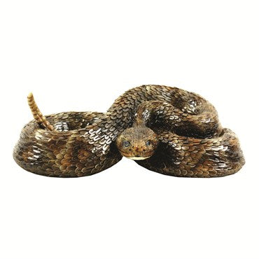 Resin Reptile Collection Statuary