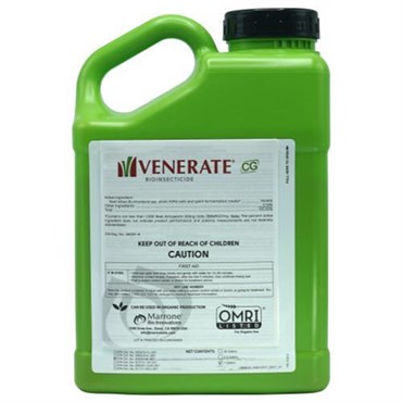 Venerate CG