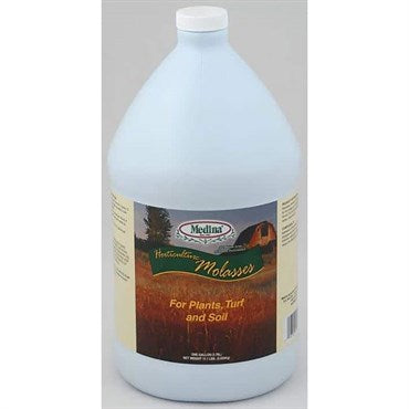Molasses