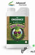 Advanced Nutrients Big Bud Organic