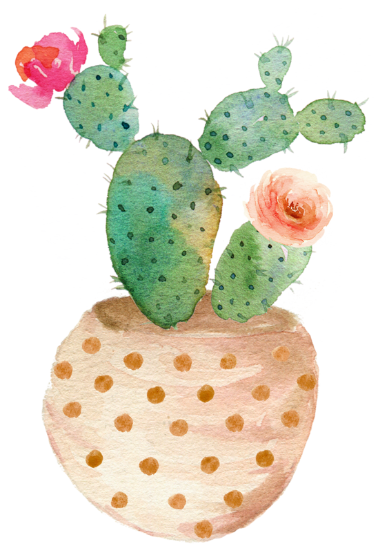 Down To Earth Cactus Mix 2-4-8