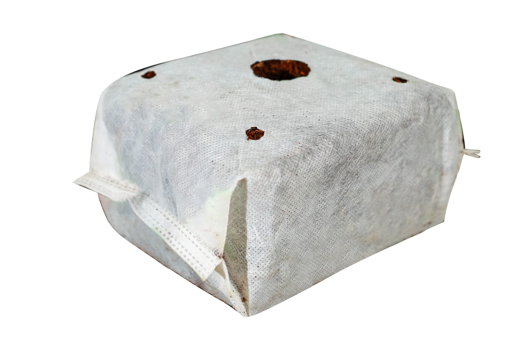 RXG Clean Coco Cubes