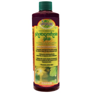 Photosynthesis Plus