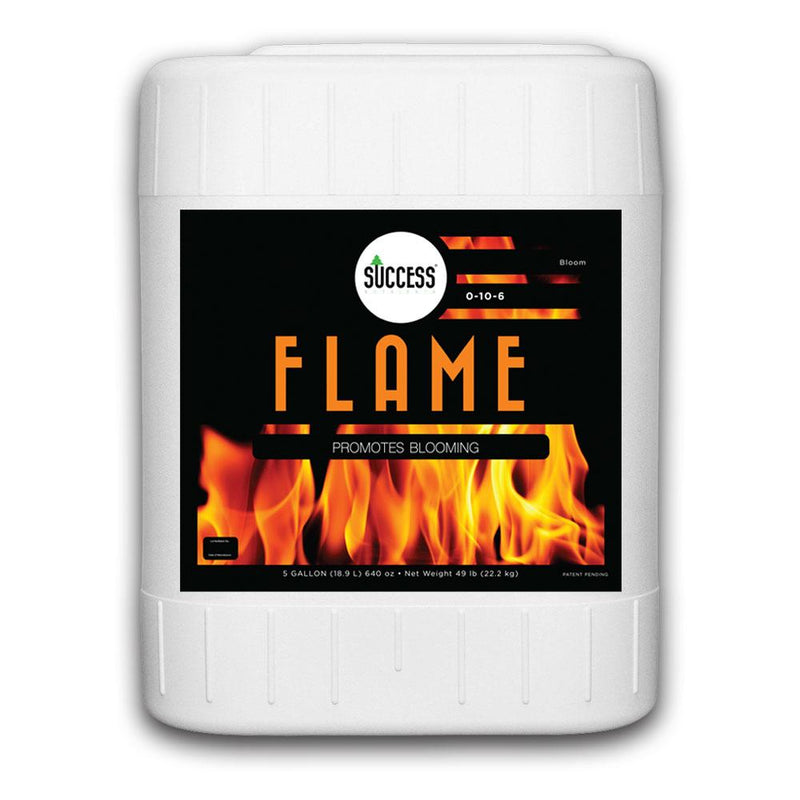 Flame