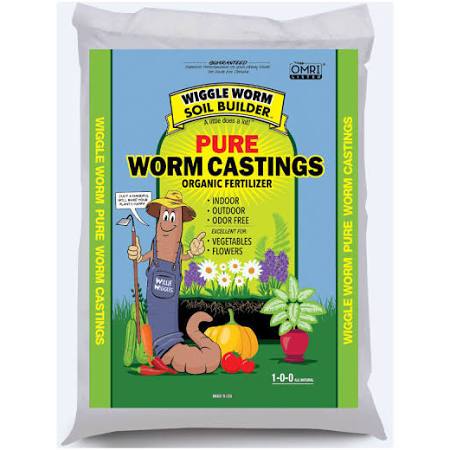 Wiggle Worm Casting