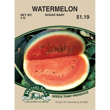 Watermelon Sugar Baby
