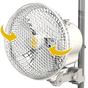 Monkey Fan
