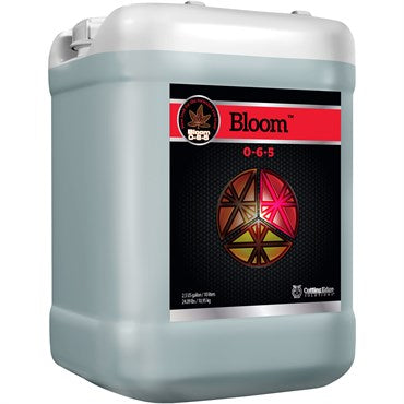 CES Bloom