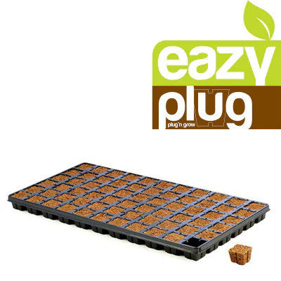 Eazy Plug CT66