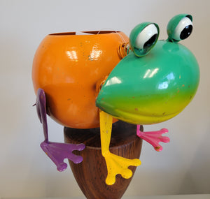 Flower Pot Frog