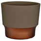 pot 5 inch succulent