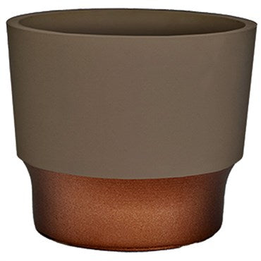 pot 5 inch succulent