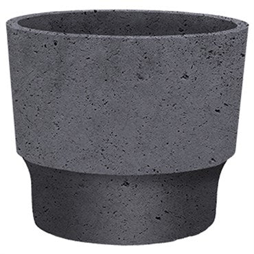 pot 5 inch succulent