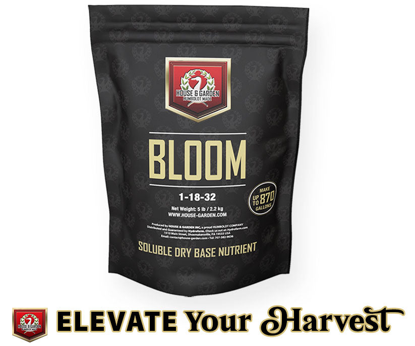 House & Garden Bloom