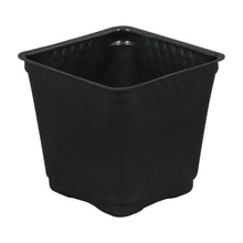 Load image into Gallery viewer, Square Disposable Plastic Pot

