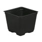 Square Plastic Disposable Pot