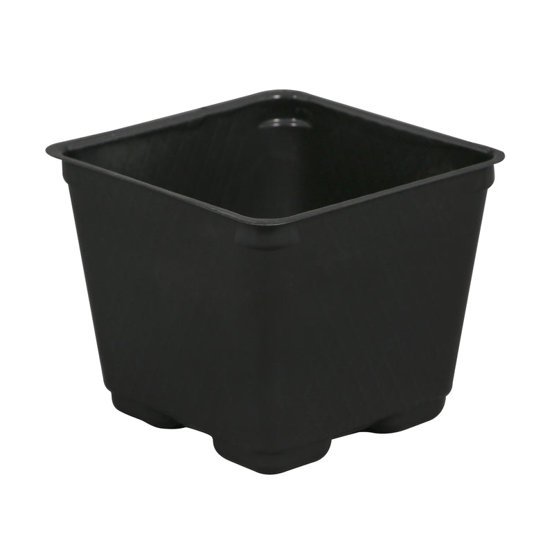 Square Plastic Disposable Pot