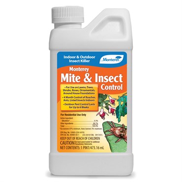 Monterey Mite & Insect Control
