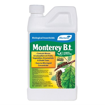 Monterey BT