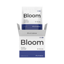 Load image into Gallery viewer, Athena Pro Bloom
