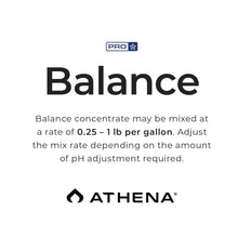 Load image into Gallery viewer, Athena Pro Balance
