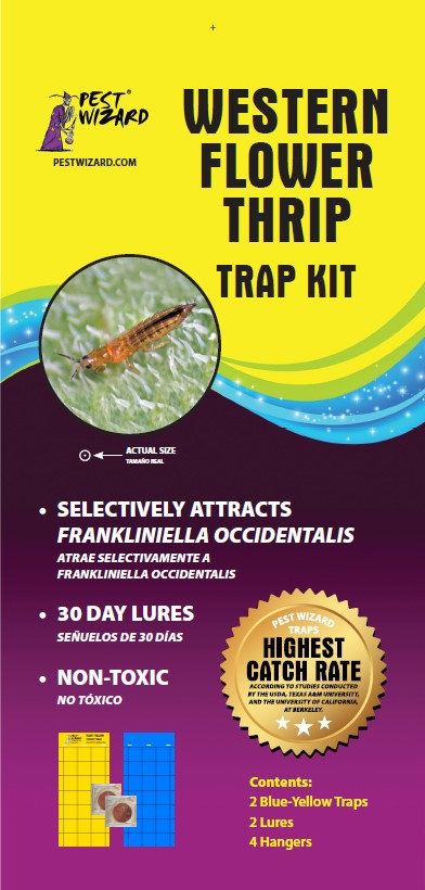 Pest Wizard Thrip Trap