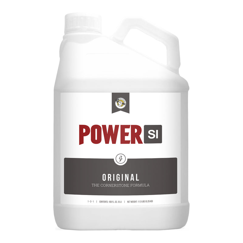 PowerSi Silicic Acid