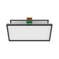 Athena Culture Filter Replacement