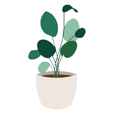 Plant House