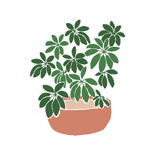 Plant House