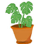 Plant House