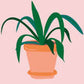 Plant House