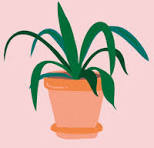 Plant House