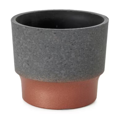 pot 3 inch succulent