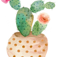 Down To Earth Cactus Mix 2-4-8