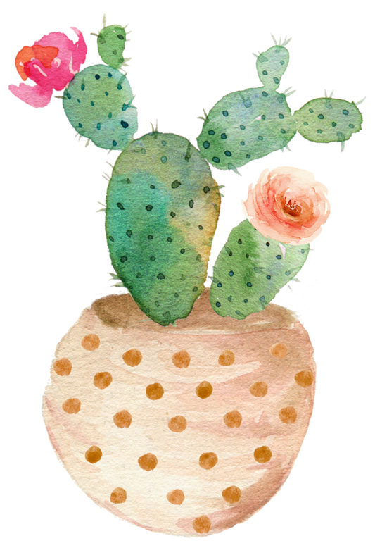 Down To Earth Cactus Mix 2-4-8