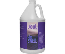 Load image into Gallery viewer, Soul Big Swell
