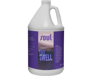 Soul Big Swell