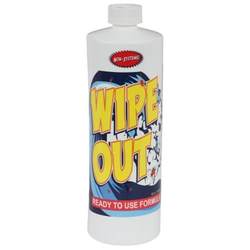 Wipe Out