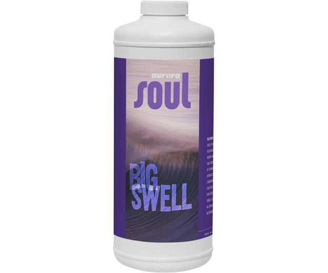 Soul Big Swell