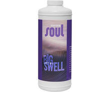 Load image into Gallery viewer, Soul Big Swell
