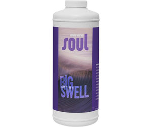 Soul Big Swell
