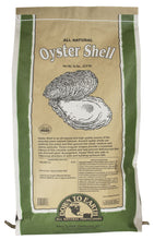 Load image into Gallery viewer, Down To Earth Oyster Shell
