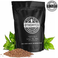 Dynomyco