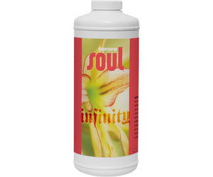 Soul Infinity