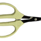 ARS Scissors Steel