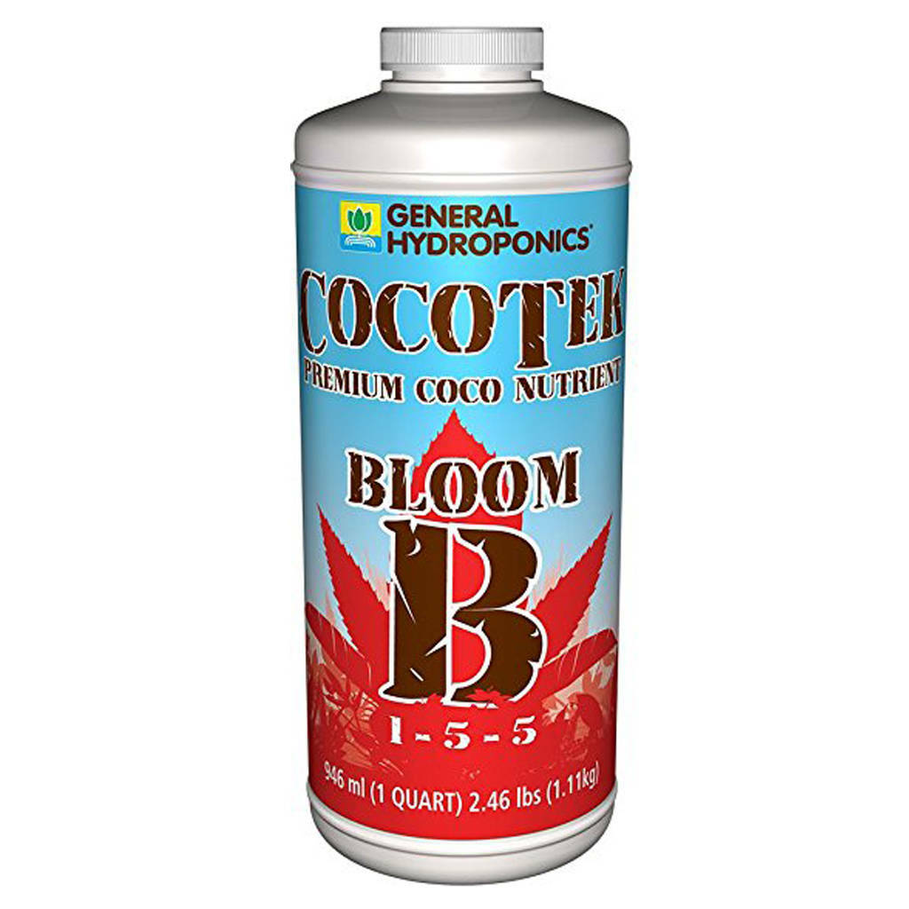 GH Cocotek Bloom B