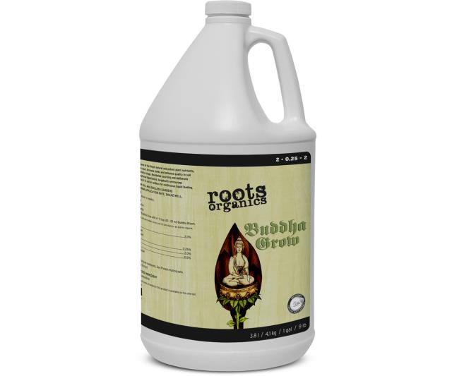 Roots Buddha Grow