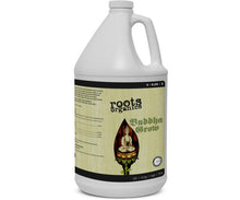 Load image into Gallery viewer, Roots Buddha Grow
