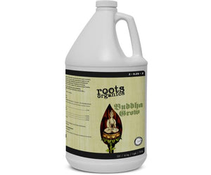 Roots Buddha Grow